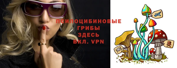 MDMA Новодвинск