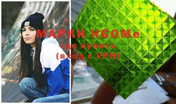 гашик Новозыбков