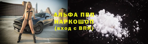 гашик Новозыбков