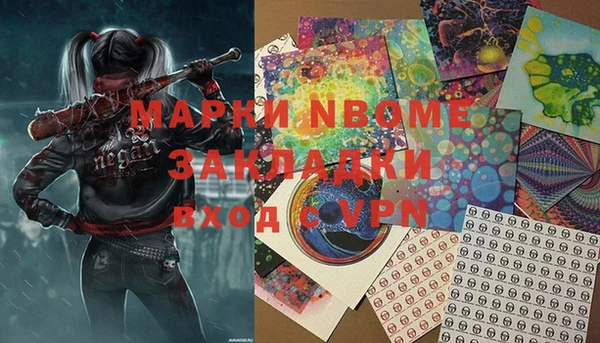 гашик Новозыбков