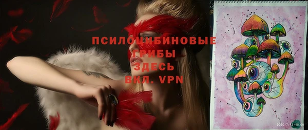 гашик Новозыбков